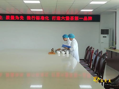 廣西速溶六堡茶工程技術(shù)研究中心通過自治區(qū)科技廳驗(yàn)收