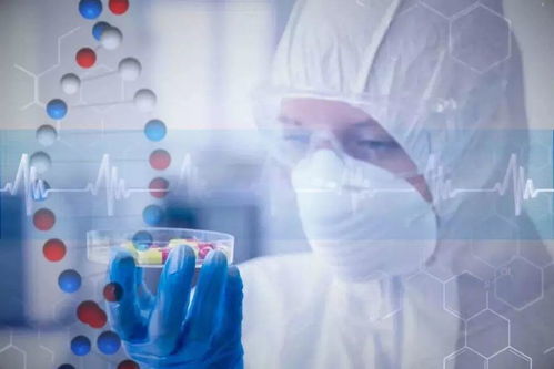 案例春秋 科技公司研發類項目獎金管理辦法