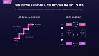 互聯網用戶與199it互聯網數據中心 數據服務的核心橋梁